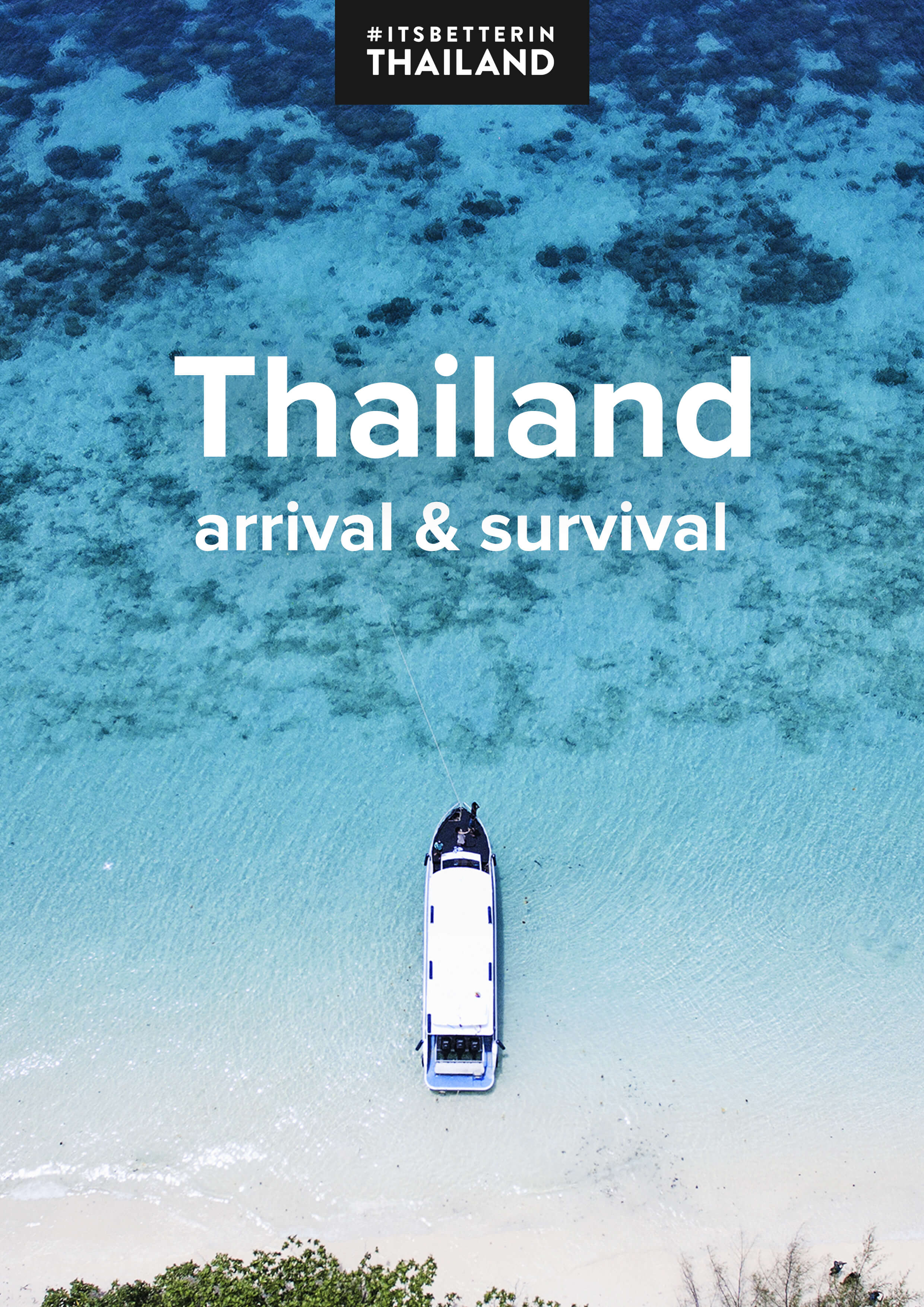 Thailand Arrival & Survival ebook